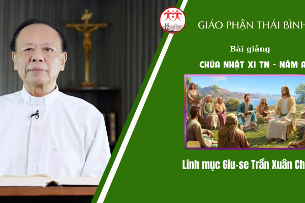 Bài Giảng Chúa Nhật XI TN - Năm A / Linh Mục Giuse Trần Xuân Chiêu / Giáo Phận Thái Bình