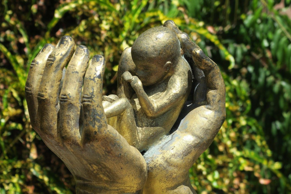 Bảo vệ sự sống - lời mời gọi của Đức Thánh Cha trong một thế giới còn nhiều đe dọa đối với sự sống