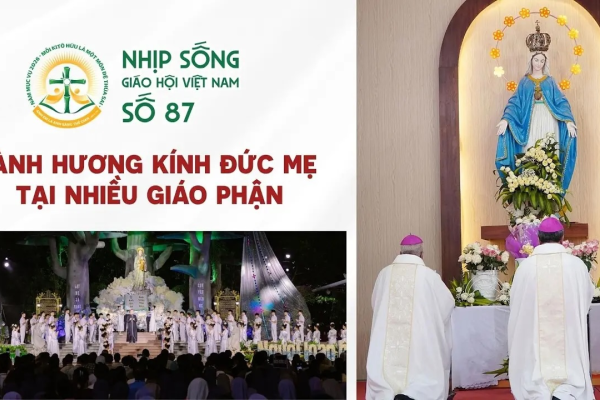 Hành hương kính Đức Mẹ tại nhiều giáo phận - Nhịp sống Giáo Hội Việt Nam số 87 (11/8/2026 - 17/8/2026)