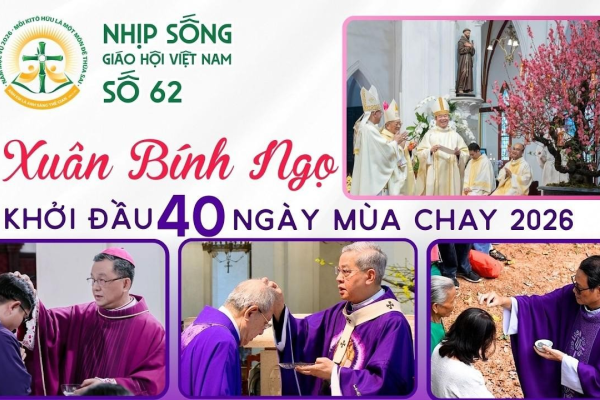 Xuân Bính Ngọ - Khởi đầu 40 ngày Mùa Chay 2026 - Nhịp sống Giáo hội Việt Nam số 62 (16/02/2026 - 23/02/2026)